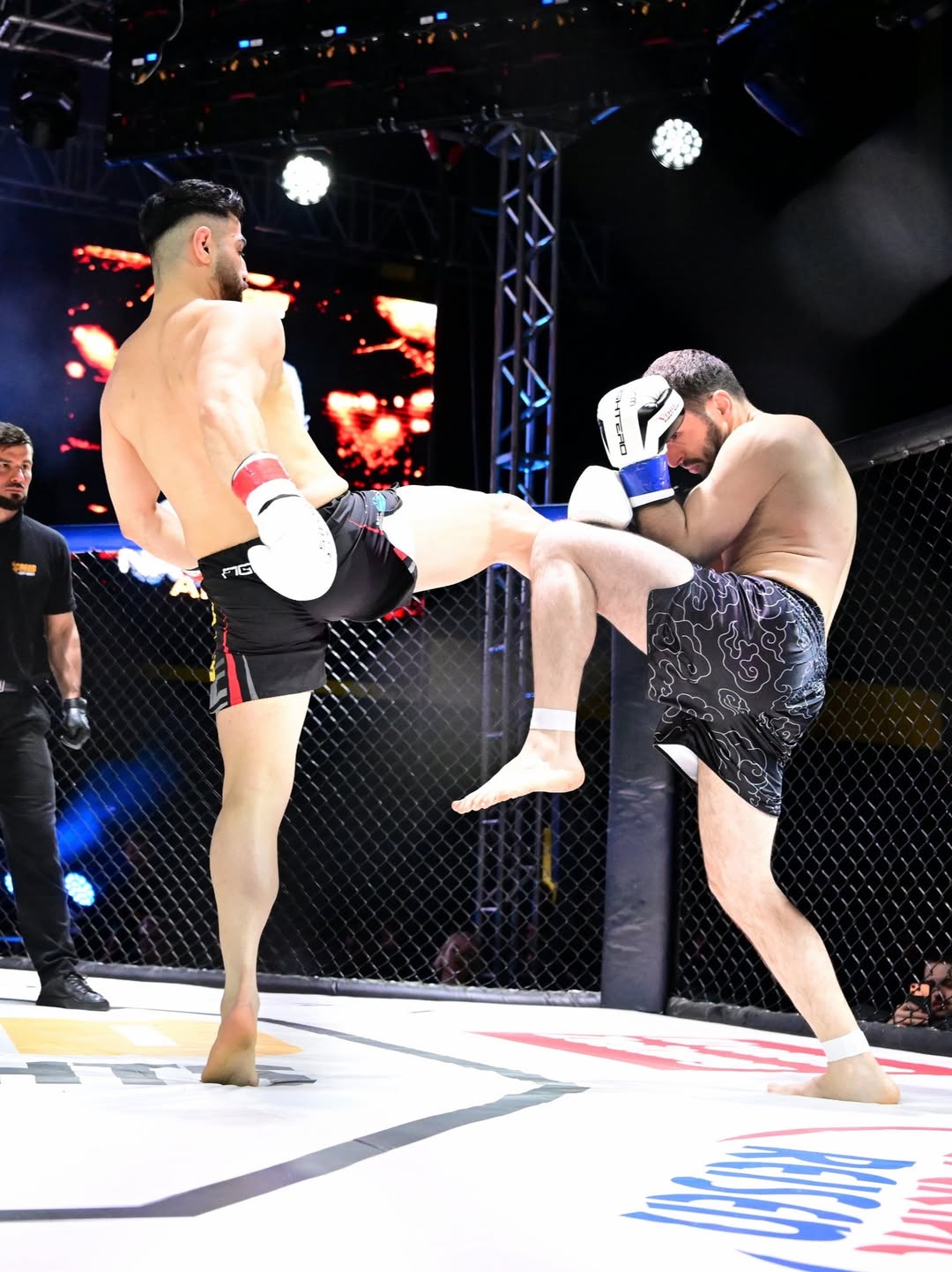 Çelik Knee