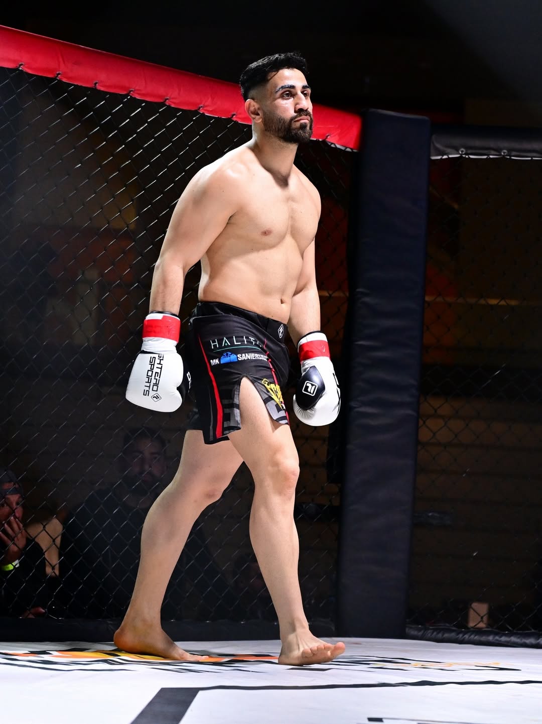 Çelik Walkout